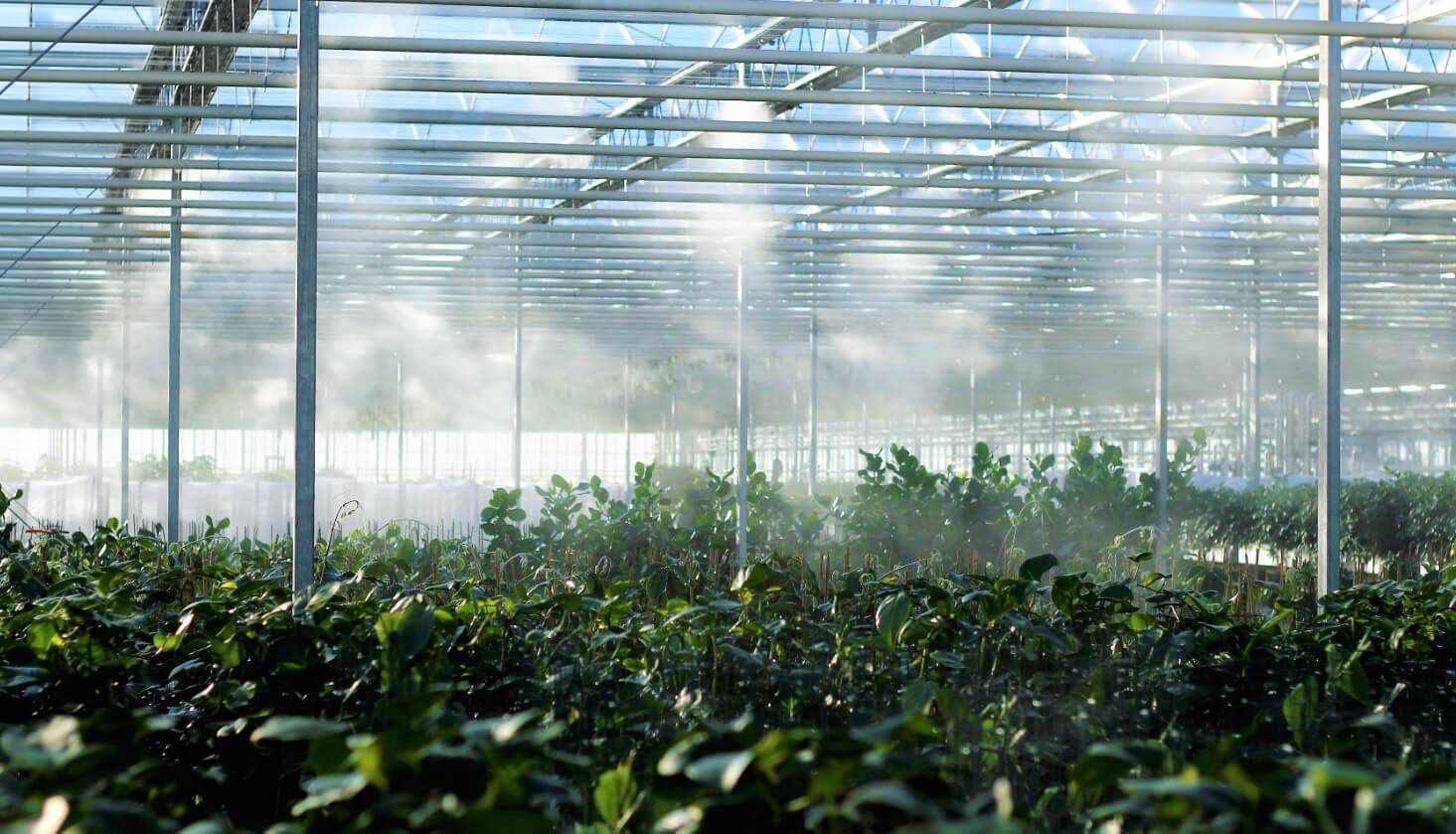 sterowanie klimatem w szklarni
